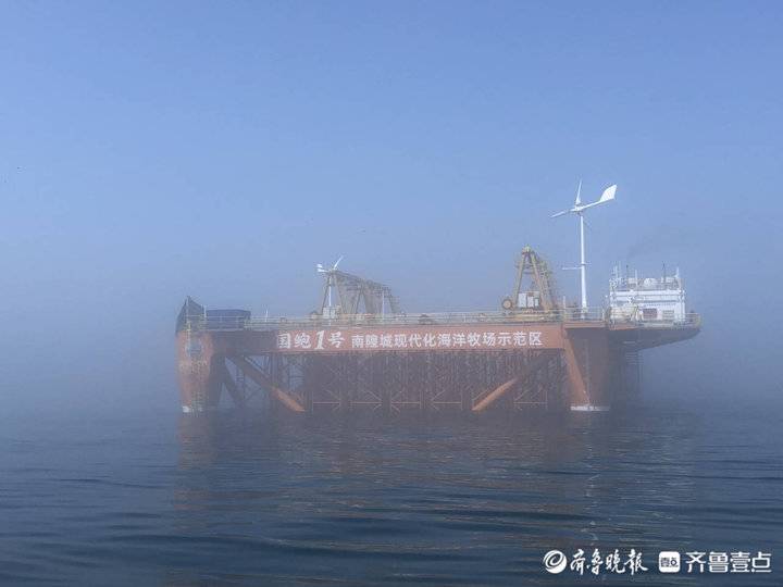 海參鮑魚真饞人！壹粉登上“國鮑1號”觀賞南隍城海珍品