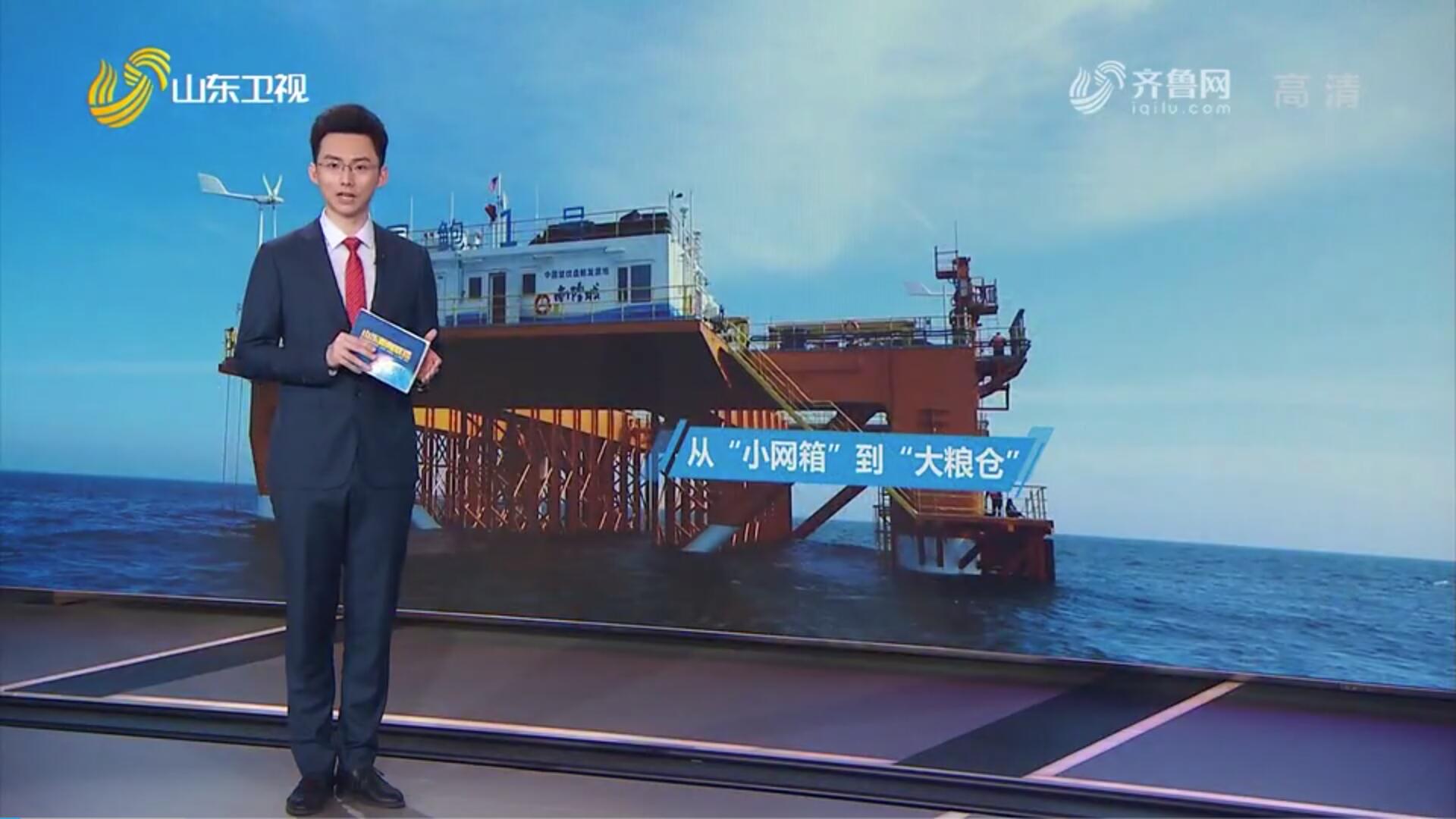 【奮進新征程建功新時代】海洋牧場：從“小網箱”到“大糧倉”