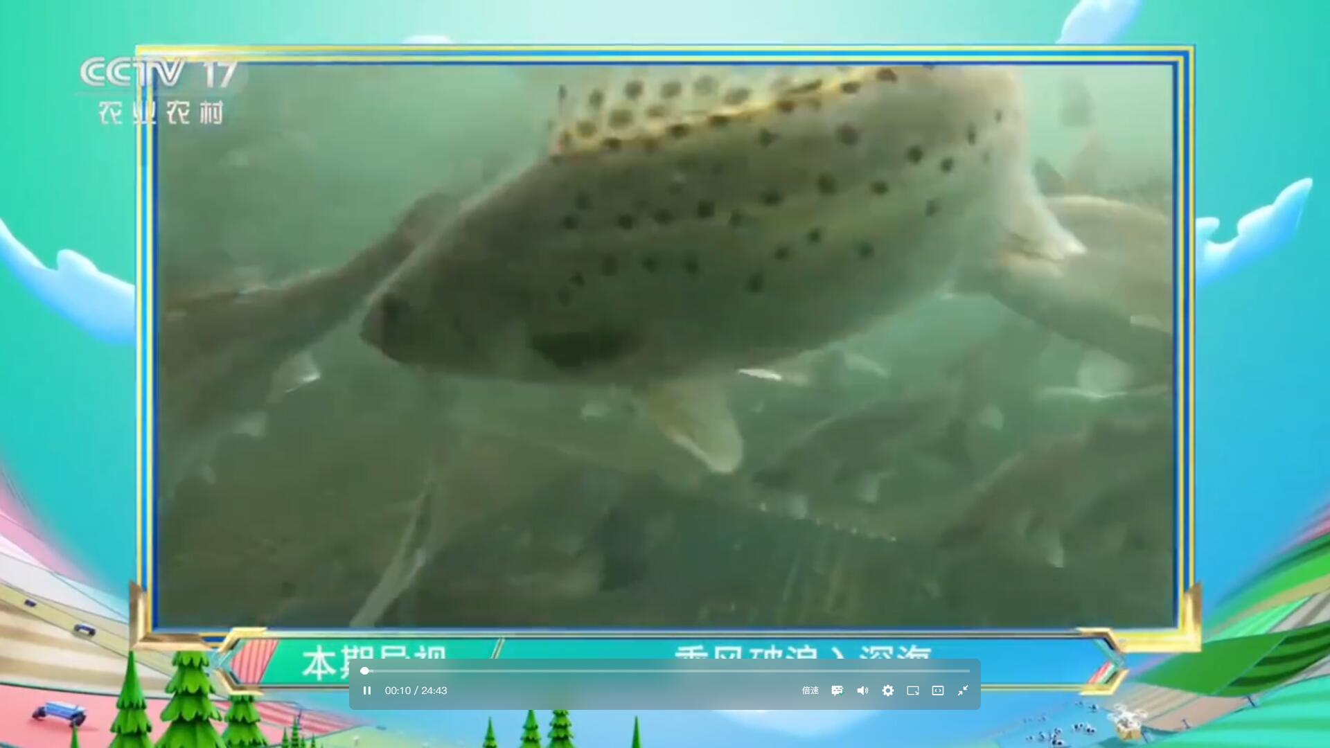 乘風(fēng)破浪入深海｜經(jīng)海漁業(yè)亮相CCTV-17《超級(jí)農(nóng)人秀》