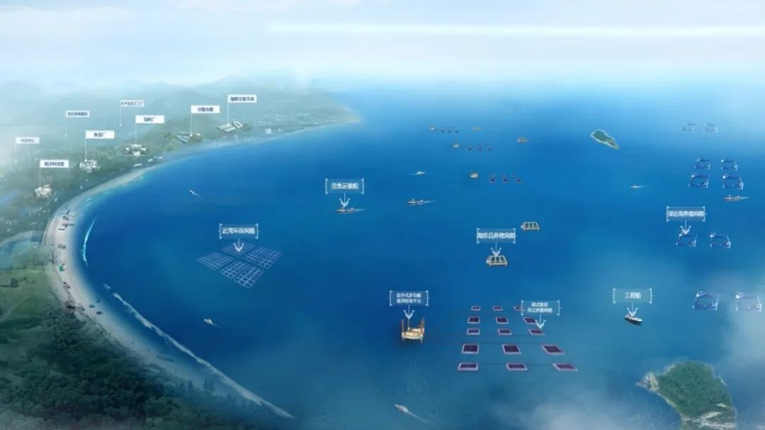 經海“百箱計劃”再前行，走進大欽島暨第二屆黑鲪魚魚苗訂購簽約儀式