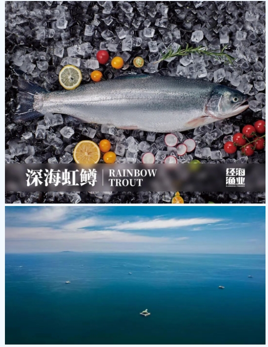 引領鮭鱒產業革新山東省重大科技創新工程“鮭鱒陸海接力全產業鏈關鍵技術攻關與應用示范”項目啟動會在經海漁業成功召開